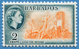 BARBADOS - 2 Cents 1953-1957 - Michel #204 * Rif. A-07 - Barbados (...-1966)