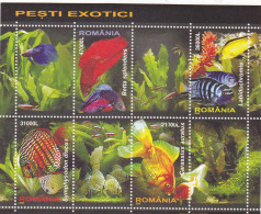 Romania 2005 Exotic Fish 4v M/s, Used, Nature - Fish - Gebraucht