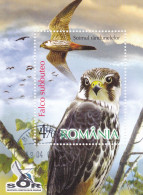 Romania 2007 Rumanía / Birds Used Aves Vögel Oiseaux Uccelli / - Gebraucht