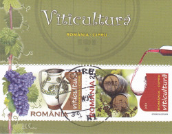 Romania 2010 Rumanía / Fruits Grapes Wine MNH Frutas Vino Uva,used Block - Used Stamps