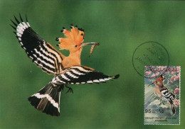 LIBYA 1982 Birds Bird "Eurasian Hoopoe" (maximum-card) #16 - Climbing Birds