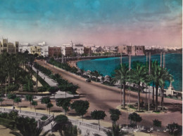 Tripoli - Lungomare - Formato Grande Non Viaggiata – FE390 - Liban