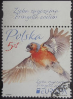 Polen    Europa  Cept   Nationale Vögel   2019 - 2019