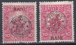 Transylvanie Cluj Kolozsvar 1919 N° 11-11a * Timbres De Bienfaisance BANI En Haut (K14) - Transsylvanië