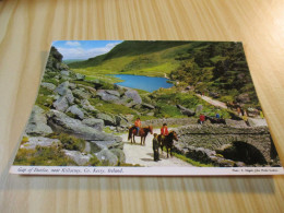 Gap Of Dunloe, Near Killarney (Irlande). - Kerry