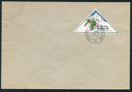 Switzerland Mobilisation Feldpost Triangle Skiing Cover  - Cartas & Documentos