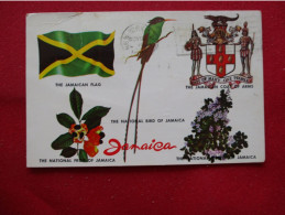 Flag Crest. Flower. Bird Jamaica   Ref 6309 - Jamaica