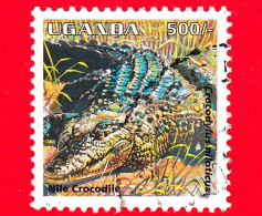 UGANDA - Usato - 1995 - Animali - Coccodrillo - Nile Crocodile - 500/- - Ouganda (1962-...)