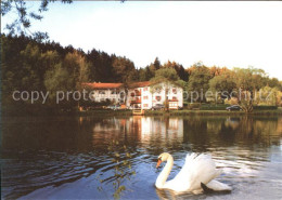 71901764 Hildburghausen Gasthaus Cafe Am Schwanenteich Schwan Hildburghausen - Hildburghausen