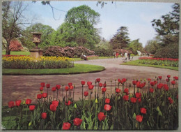 ENGLAND UK UNITED KINGDOM ROYAL BOTANIC GARDENS KEW KARTE CARD POSTCARD CARTOLINA CARTE POSTALE ANSICHTSKARTE POSTKARTE - Reading