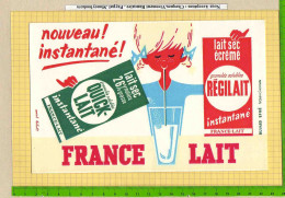 BUVARD :France LAIT   Nouveau Instantané - Produits Laitiers