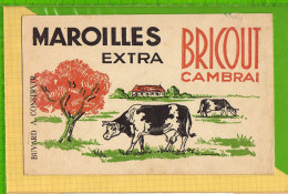 Buvard & Blotting Paper : Maroilles Extra BRICOUT CAMBRAI Vaches - Leche