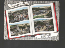 Cpm Souvenir De Beauval Multivues Livre Ouvert - Beauval