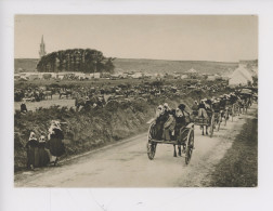 Plonevez-Porzay, Sainte Anne La Palud, En Route Pour Le "Pardon" (cp Vierge N°442 Jos) - Plonévez-Porzay