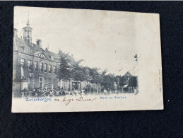 A425 Zevenbergen Markt En Stadhuis 1903 - Zevenbergen