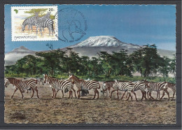 Hungary,  Zebras Below Kilimanjaro, Maximum Card, 1997. - Maximumkarten (MC)