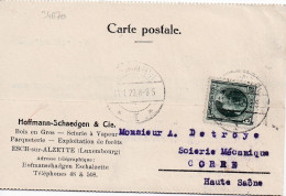 35670# GRANDE DUCHESSE CHARLOTTE CARTE POSTALE HOFFMANN SHAEDGEN Obl ESCH SUR ALZETTE 1929 Pour CORRE HAUTE SAONE - Cartas & Documentos