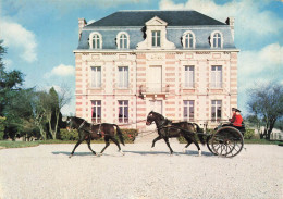 St Lo * Le Haras , Tamdem De Trotteurs Français * Cheval Chevaux Trotteur Hippisme Hippique - Saint Lo