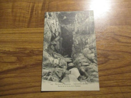 CP Trégastel Primel - Entrée De La Grotte De La Crevasse - Primel