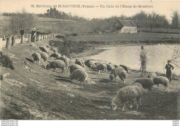 '"CPA Environs De St Sauveur Yonne Un Coin De L''Etang De Moutiers Moutons"' - Saint Sauveur En Puisaye