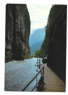 Meiringen Aareschlucht Les Gorges De L' Aar Photo Carte Suisse Htje - Meiringen