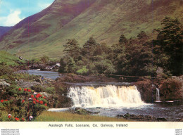 CPM Aasleigh Falls Leenane Co Galway Ireland - Galway