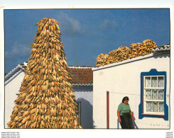 CPM Acores Portugal Terceira Cas Tradicional E Burra De Milho - Açores