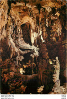 CPM Languedoc La Grotte Des Demoiselles A St Bauzille De Putois - Languedoc-Roussillon