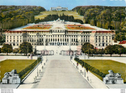 CPM Vienne Chateau De Schoenbrunne - Palacio De Schönbrunn