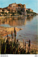 CPM La Corse Inoubliable Calvi Le Port Et La Ville Forte - Corse