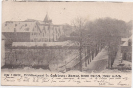 Vue D' Hiver - Etablissement De Carlsbourg : Avenue, Jardin Fruitier, Ferme Modelé - Paliseul