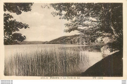 CPA Paladru Les Bords Du Lac - Paladru