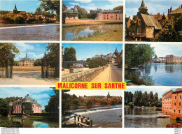 CPM Malicorne Sur Sarthe - Malicorne Sur Sarthe