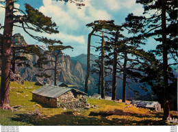 CPM Charmes Et Couleurs De La Corse Col De Bavella - Corse