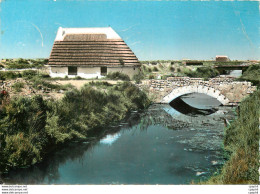 CPM Paysage De Camarque Et Cabane De Gardian - Corse