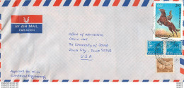 Lettre Cover Inde India University Iowa City Cheval Train - Lettres & Documents