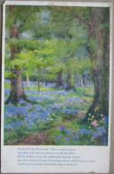 ENGLAND UK UNITED KINGDOM WOODLAND FLORA PILKINGTON KARTE CARD POSTCARD CARTOLINA CARTE POSTALE ANSICHTSKARTE POSTKARTE - Selkirkshire