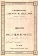 Nederlandsch-Indische Landbouw - Maatschappij - Bewijzen Van Deelgerechtigdheid - Amsterdam, 30 December 1884 Indonesia - Agricultura