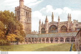 CPA Oxford New College - Oxford