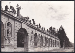 60 - Château De Raray - La Chasse Au Cerf - Raray