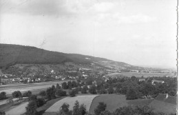 NIEDERWENINGEN ► Teilansicht Des Dorfes Anno 1946 - Dielsdorf