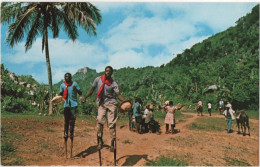 Haiti West Indies - Voodoo And Stick Dance - Haiti