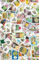 125 Timbres FLEURS CACTEES, Tous Différents. - Cactusses