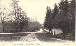 Carte POSTALE  Ancienne De  FORET De  COMPIEGNE - Ste Perine & étang - Rethondes