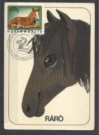 Hungary, Horse Head "Ráró", Maximum Card, 1999. - Maximumkarten (MC)