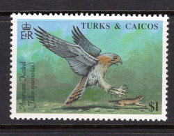 Turks & Caicos Islands 1990 Birds - $1 Kestrel MNH (SG 1016) - Turks & Caicos (I. Turques Et Caïques)