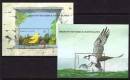 Turks & Caicos Islands 1990 Birds MS Set MNH (SG MS1018a&b) - Turks And Caicos