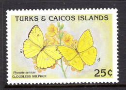 Turks & Caicos Islands 1990 Butterflies - 25c Value MNH (SG 1020) - Turks & Caicos (I. Turques Et Caïques)