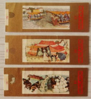 A82 Lot Bagues De Cigares  Mercator   Série  Ethnologie  3 Pièces - Bagues De Cigares