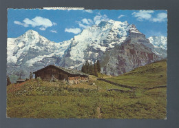 CPA - Suisse - Bei Mürren Mit Mönch Und Jungfrau - Circulée En 1955 - Mürren